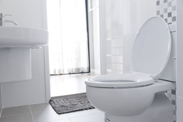 Cost of Toilet Relocation in Morrisville